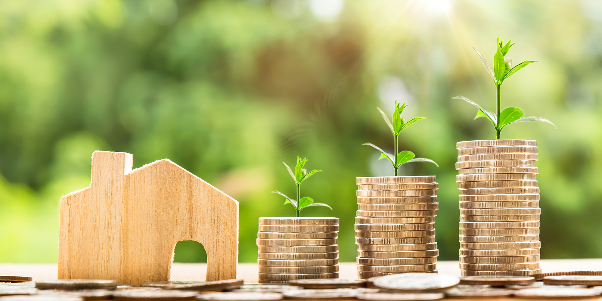 20501_FY17_GreenBonds_1000x500 20501_FY17_GreenBonds_1000x500